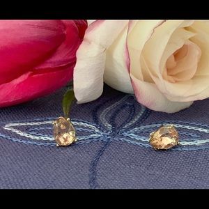 NWOT Champagne Pink Teardrop Earrings